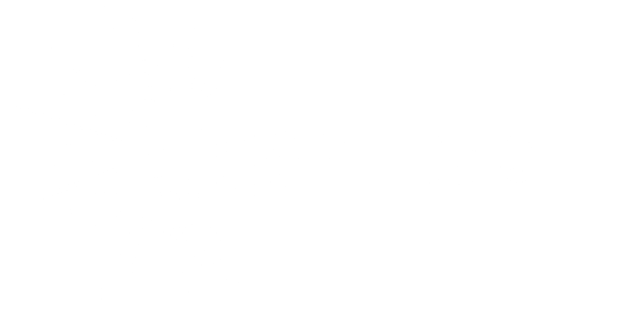 AULA VIRTUAL UDALBA